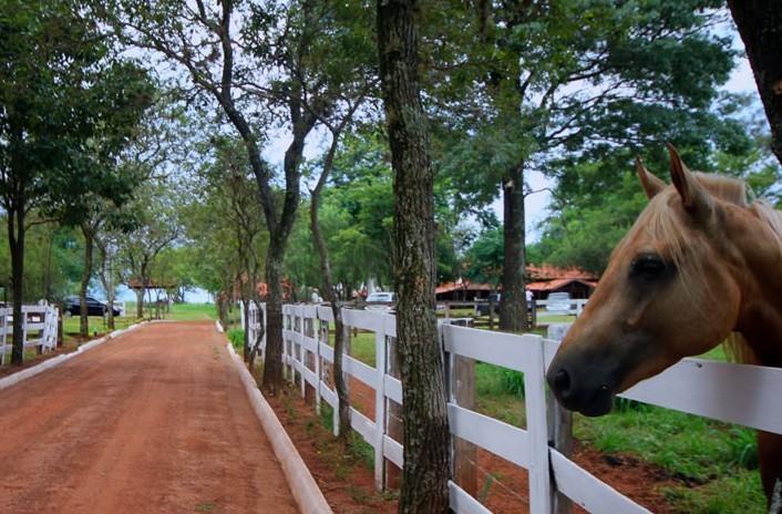 Hotel Fazenda Dos Ipes Olímpia 외부 사진