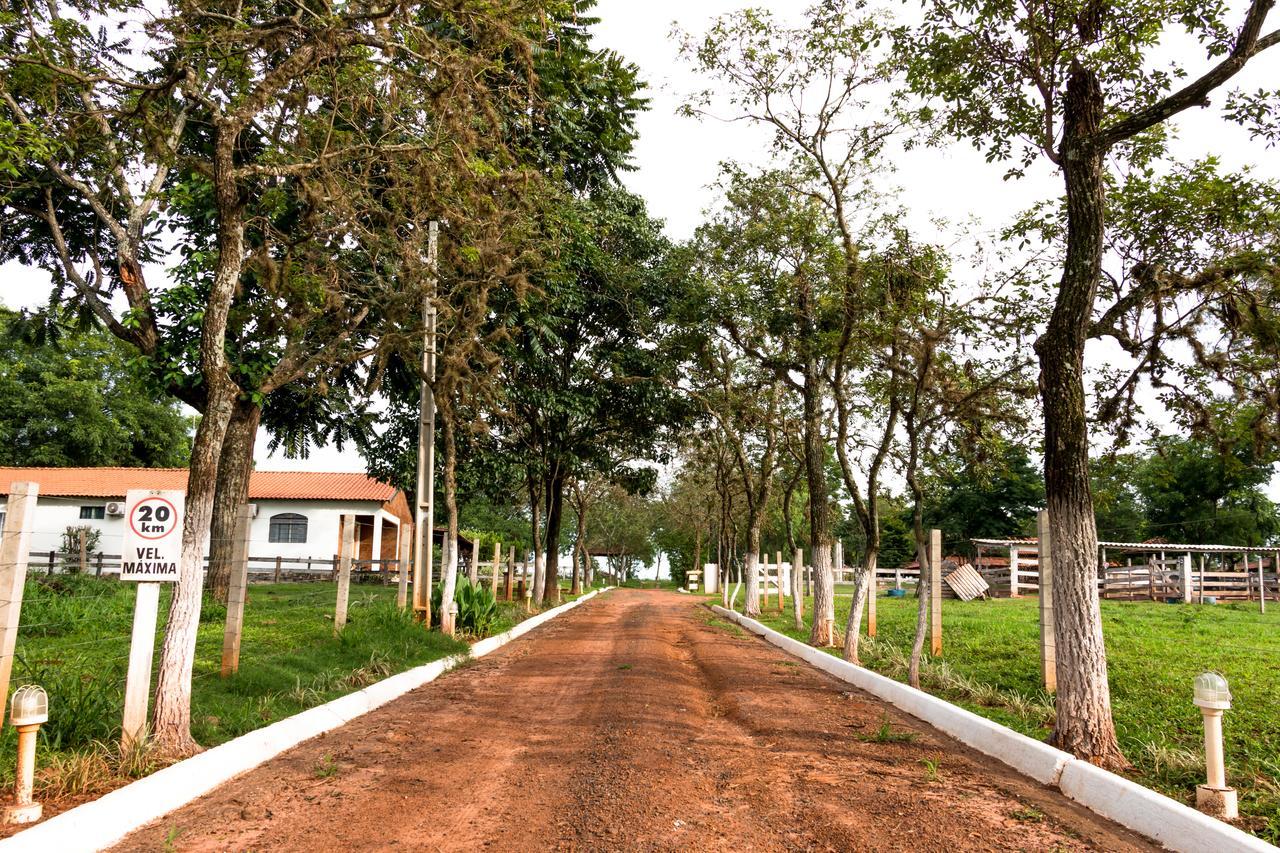 Hotel Fazenda Dos Ipes Olímpia 외부 사진